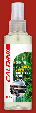 Auto Perfume Forest