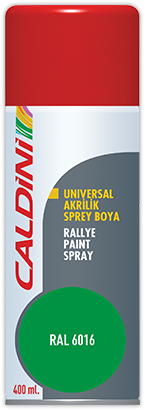 Rallye Paint Spray Green