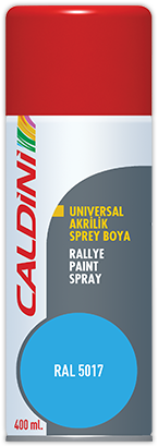 Rallye Paint Spray Blue
