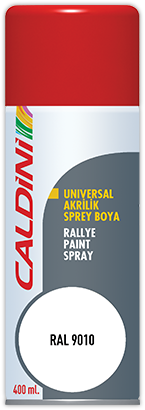 Rallye Paint Spray White