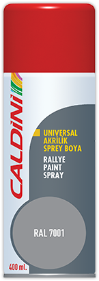Rallye Paint Spray Gray