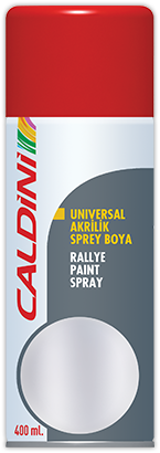 Rallye Paint Spray Metallic Gray