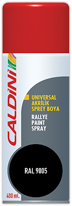 Rallye Paint Spray Matt Black