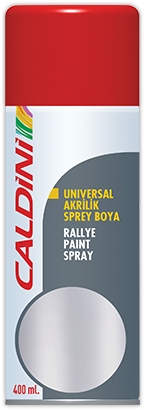 Rallye Paint Spray Silver
