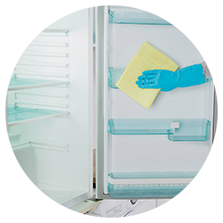 Refrigerator Cleaning Spray